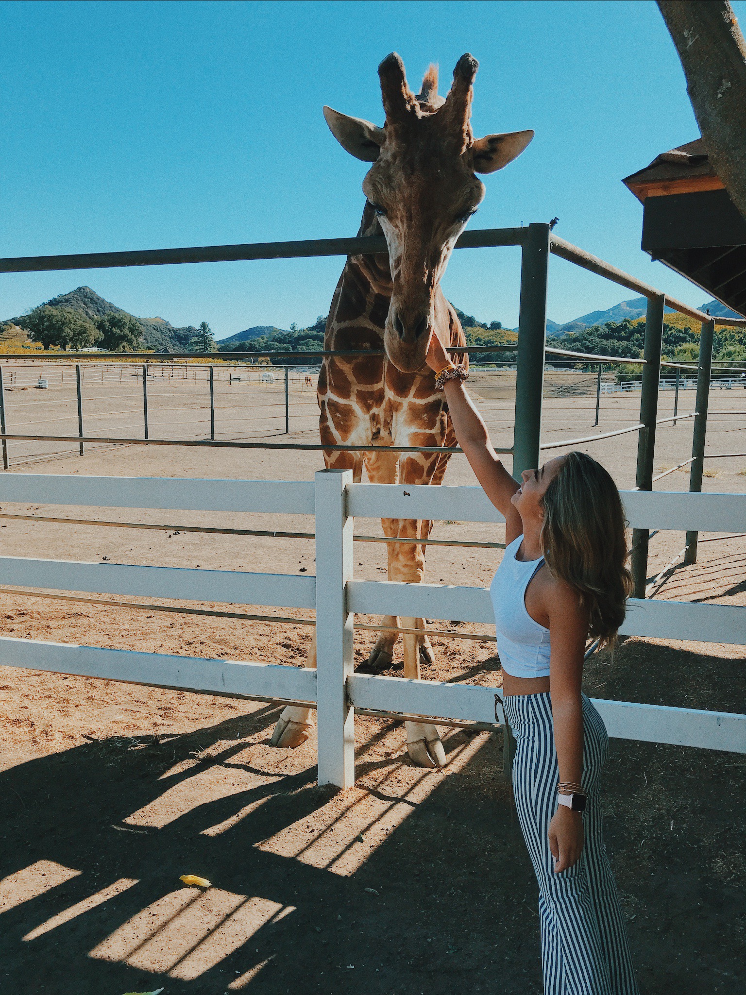 Processed with VSCO with c7 preset